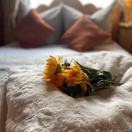 1000qm, Westerwaelder Landhaustraum Stahlhofen