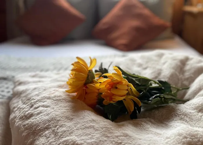 1000qm, Westerwaelder Landhaustraum Stahlhofen